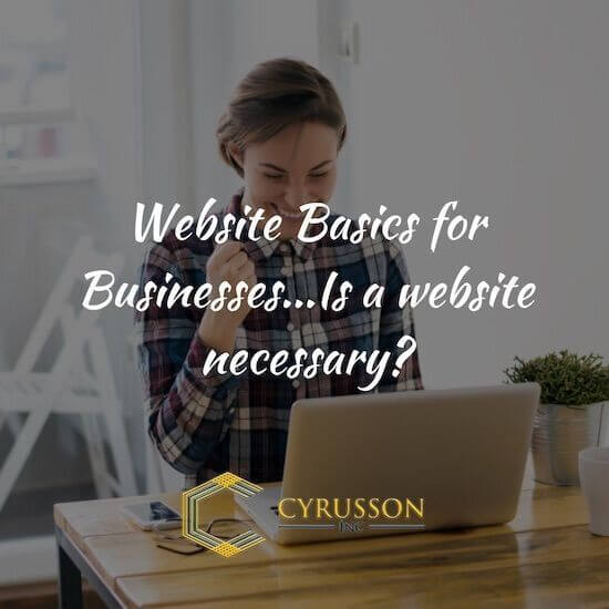 Website Basics For Businesses...Is a Website Necessary?