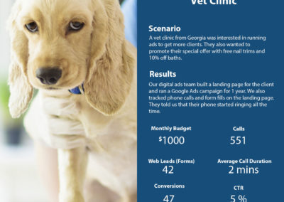 Vet Clinic Google Ads – Case Study – Vet Clinic | Cyrusson Inc