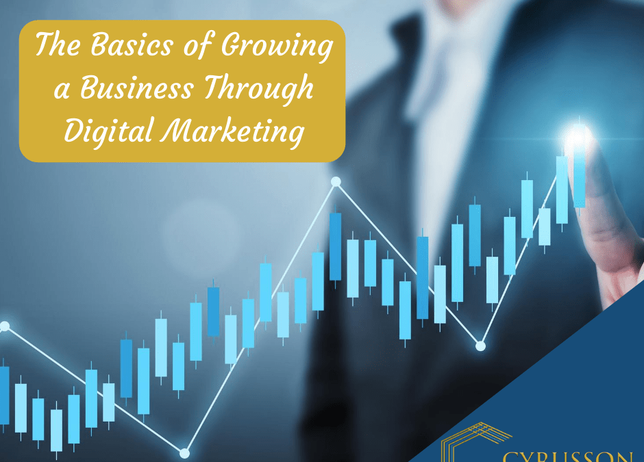 The Basics of Growing a Business Through Digital Marketing