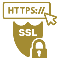 SSL Secure Websites  | Cyrusson Inc