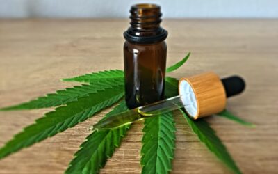 CBD Oil Marketing Tips: 7 Key Tactics To Promote Your CBD Oil Store
