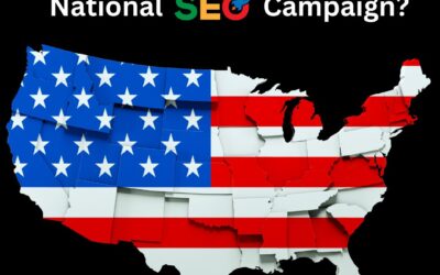 What Is a National SEO Campaign?